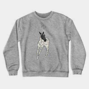 Pony Crewneck Sweatshirt